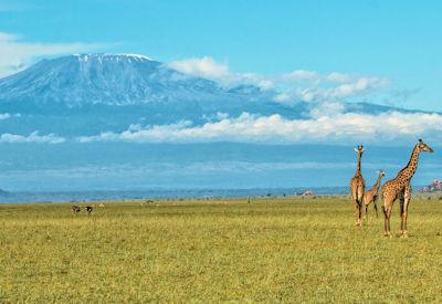 Best Kenya Safari Itinerary