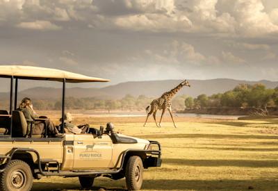 Best Safari Destinations In Zambia