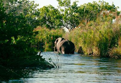 10 Reasons To Visit Botswana