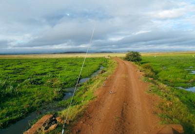 Exploring The Amboseli