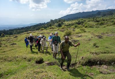 Gorilla trekking Rwanda