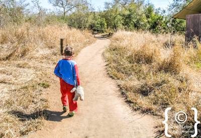 Greater Kruger Family Safari