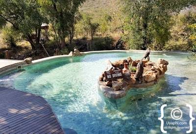 Impodimo Game Lodge Review