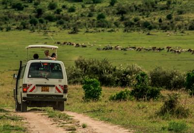 Kenya: Top Holiday Destinations for 2022