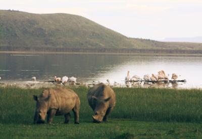 10 Must See Attractions In Kenya
