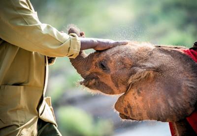 10 Things To Do In Nairobi