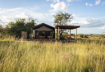 Luxury Tented Safari Camps In Africa
