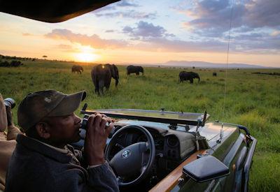 Masai Mara Bucket List