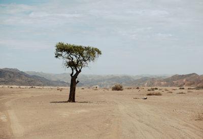 10 Reasons To Visit The Namib Desert