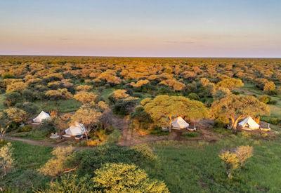 5 Best Lodges in Etosha National Park