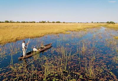 Okavango Delta Safari