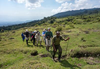 Gorilla Trekking Rwanda