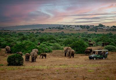 10 Best Lodges in the Eastern Cape