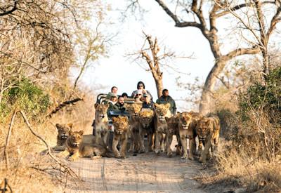 Top 12 Luxury Lodges In Kruger National Park