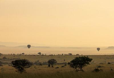 10 Reasons To Visit The Serengeti