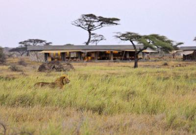 The Best Tented Safari Camps in the Serengeti