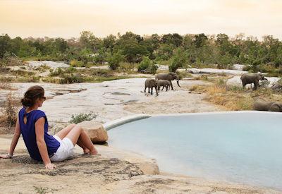 The Perfect Kruger National Park Honeymoon Safari