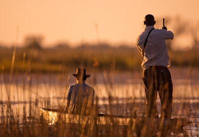 The Perfect Okavango Delta Honeymoon Safari