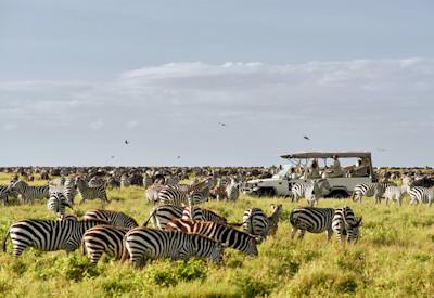 The ultimate Tanzania bucket list