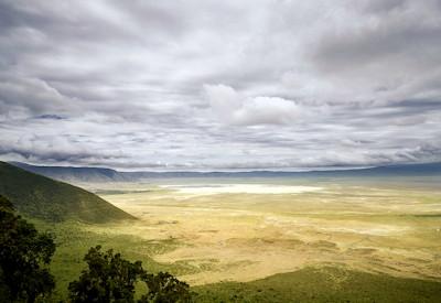 What is the best time for a safari in Tanzania?