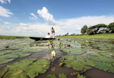 When Which Month is Best for African Safari in Botswana?