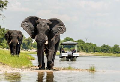 Chobe National Park