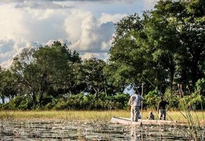Okavango Delta Pictures