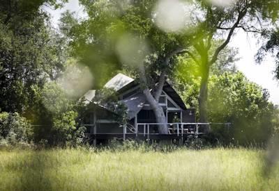 Luxury camp in the Okavango