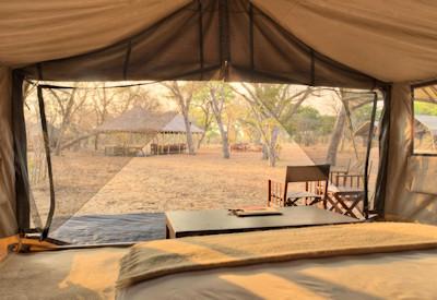 Five safari tents surrounded by the Chobe bush