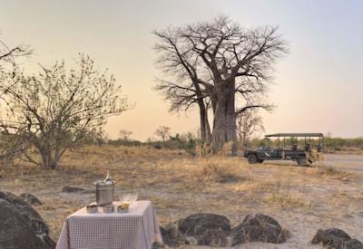 Afternoon game drive and sunset drinks