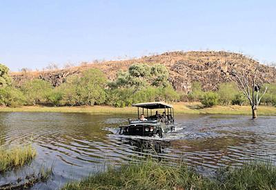 Afternoon game drive in the Savuti Canal