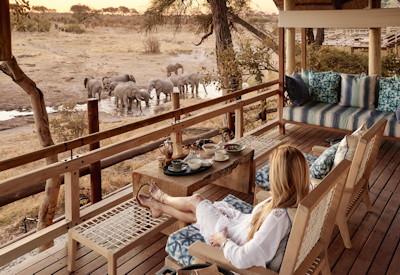 Elephant Lodge viewing decks