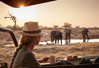 Belmond Savute safari activities