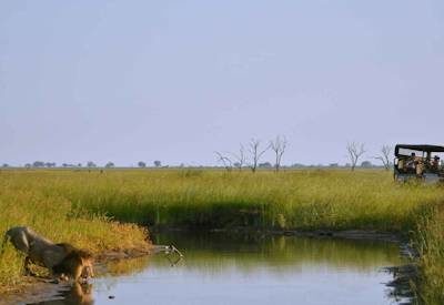 Savuti safari activities