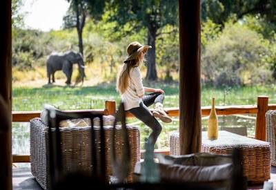 Wildlife surrounding the camp