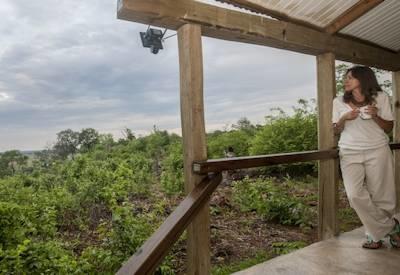 Private viewing deck