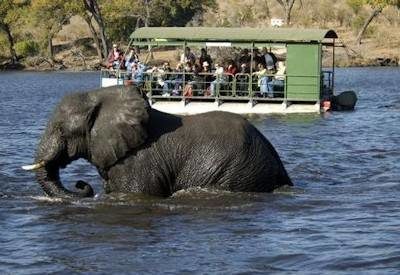 Safari activities at Marina Lodge