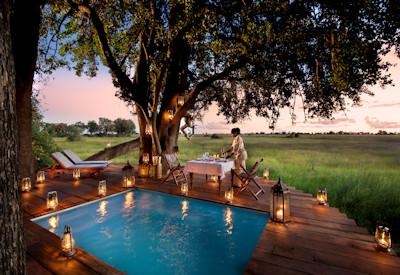 Swimming pool with wildlife parading past