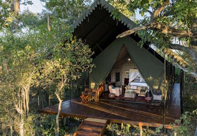 Camp on raised wooden decks