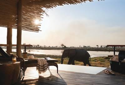 Okavango Delta wildlife