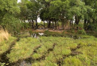 On the banks of the Okavango Delta