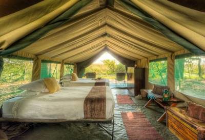 Large familiy friendly safari suite