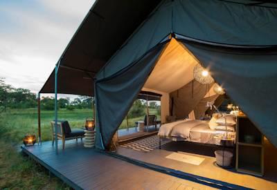 Gomoti Plains tented suites with views of acacia trees