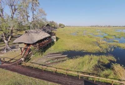 Crustal clear waters of the Okavango Delta