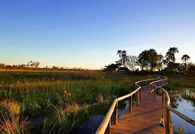 Wooden walkways across the Delta