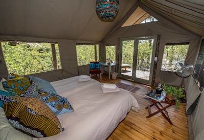 Classic safari suites