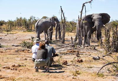 Khwai walking safaris