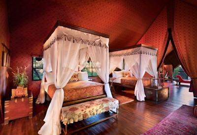 Family safari suite at camp