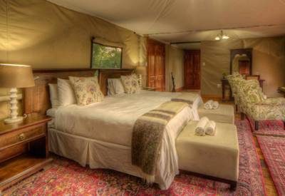Large classic safari suites