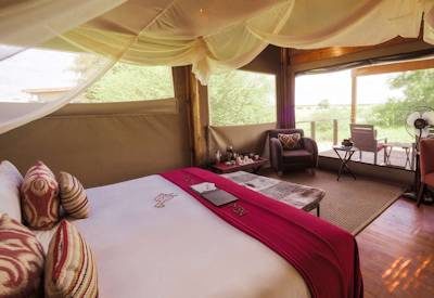 Tented safari suites